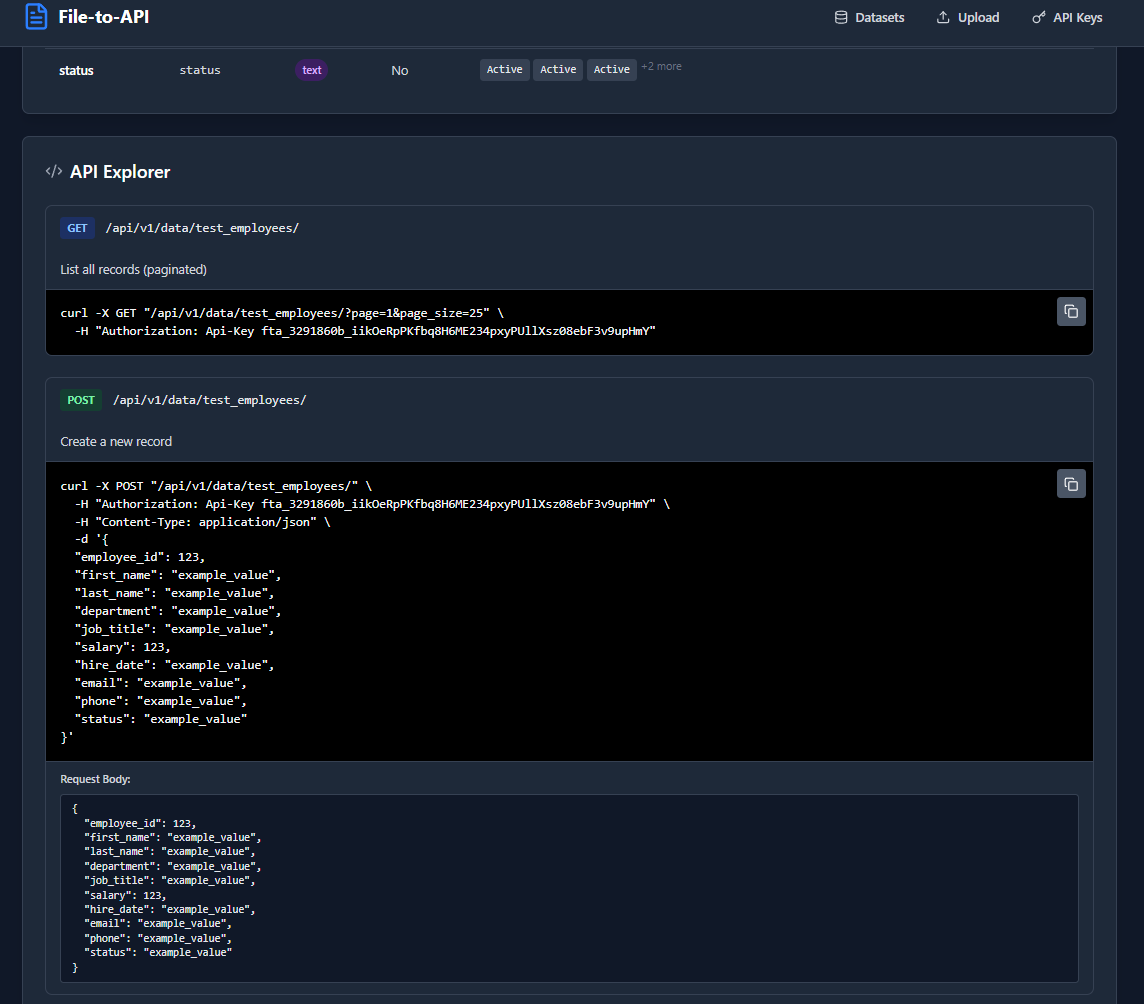 File-to-API - Data View